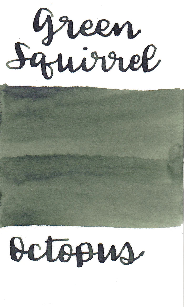 Octopus Write & Draw Ink - Green Squirrel