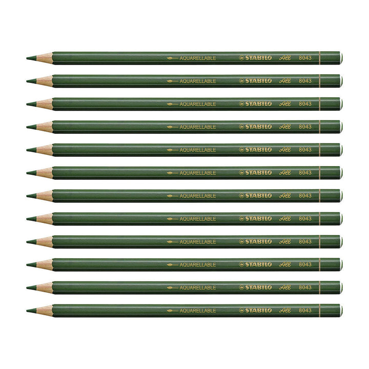 Stabilo Color Graphite Pencils (Pack of 12)
