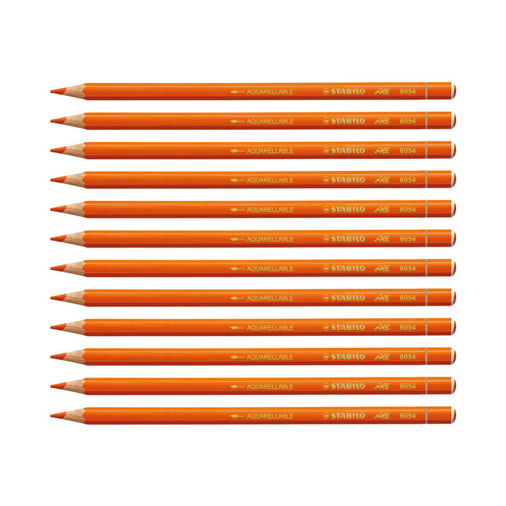 Stabilo Color Graphite Pencils (Pack of 12)