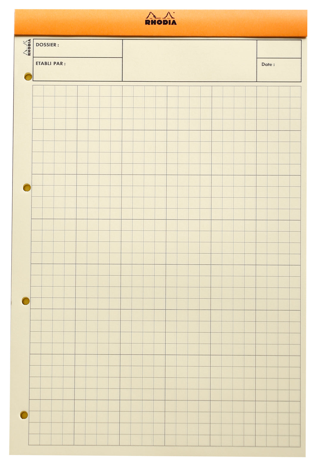 Rhodia Basics Orange Audit Notepad - No. 119 - A4+
