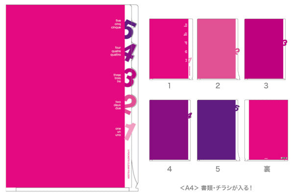 Midori 5 Pockets Clear A4 Folder